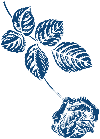 Image Alt Tag